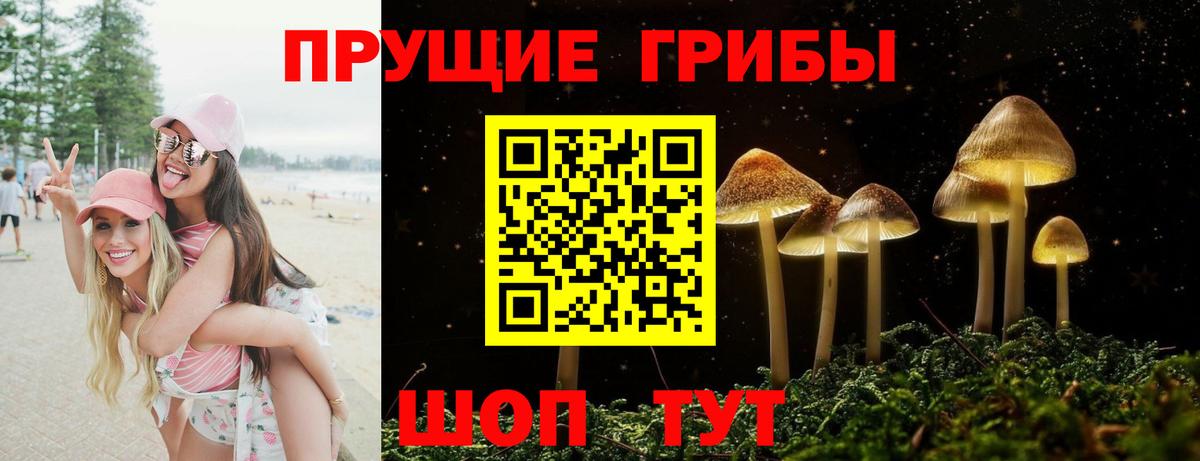 Барабинск  Псилоцибиновые грибы Magic Shrooms  Вход с VPN 