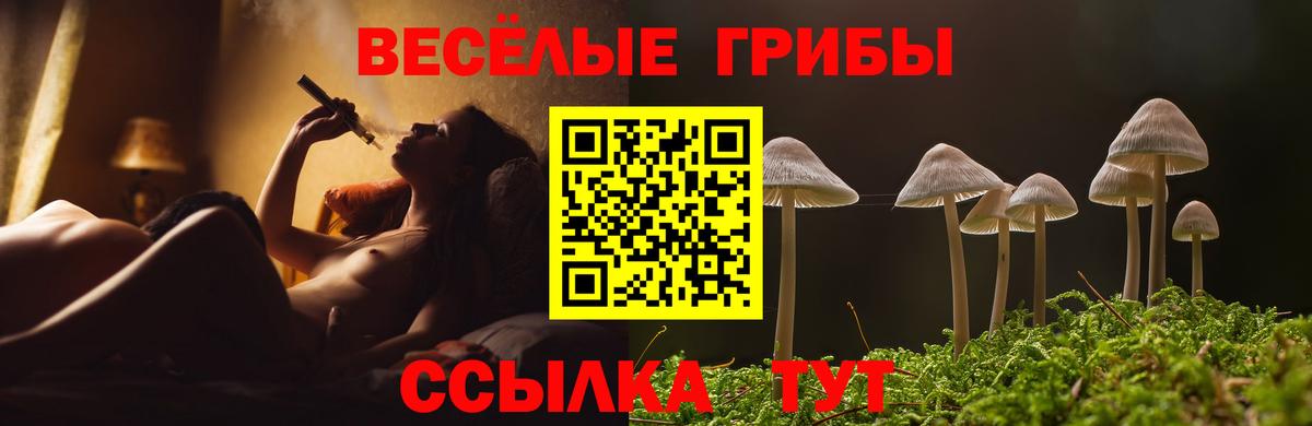 Галлюциногенные грибы Cubensis Барабинск